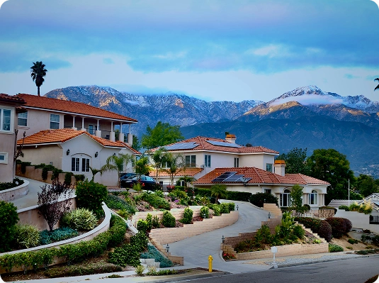 Estate managment